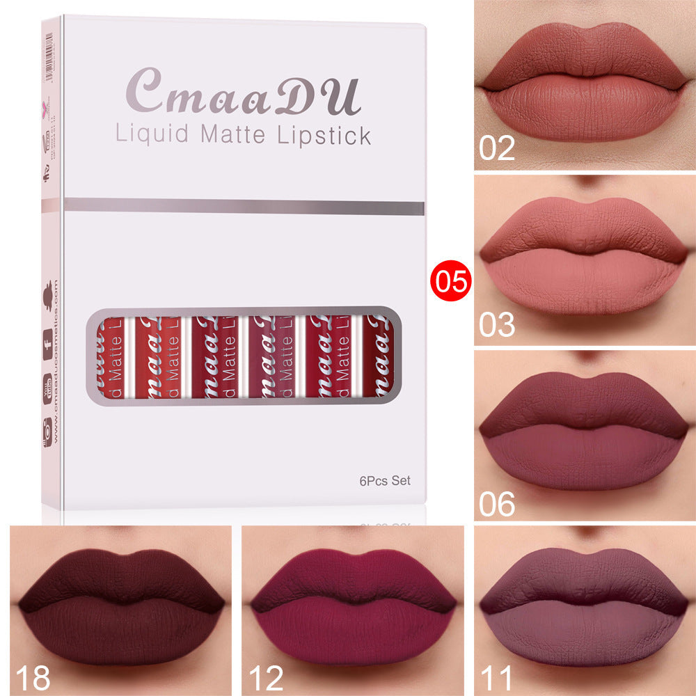 6 Boxes di rossetto opaco antiaderente impermeabile a lunga tenuta