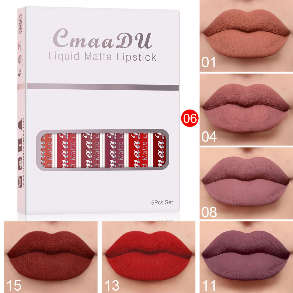 6 Boxes di rossetto opaco antiaderente impermeabile a lunga tenuta