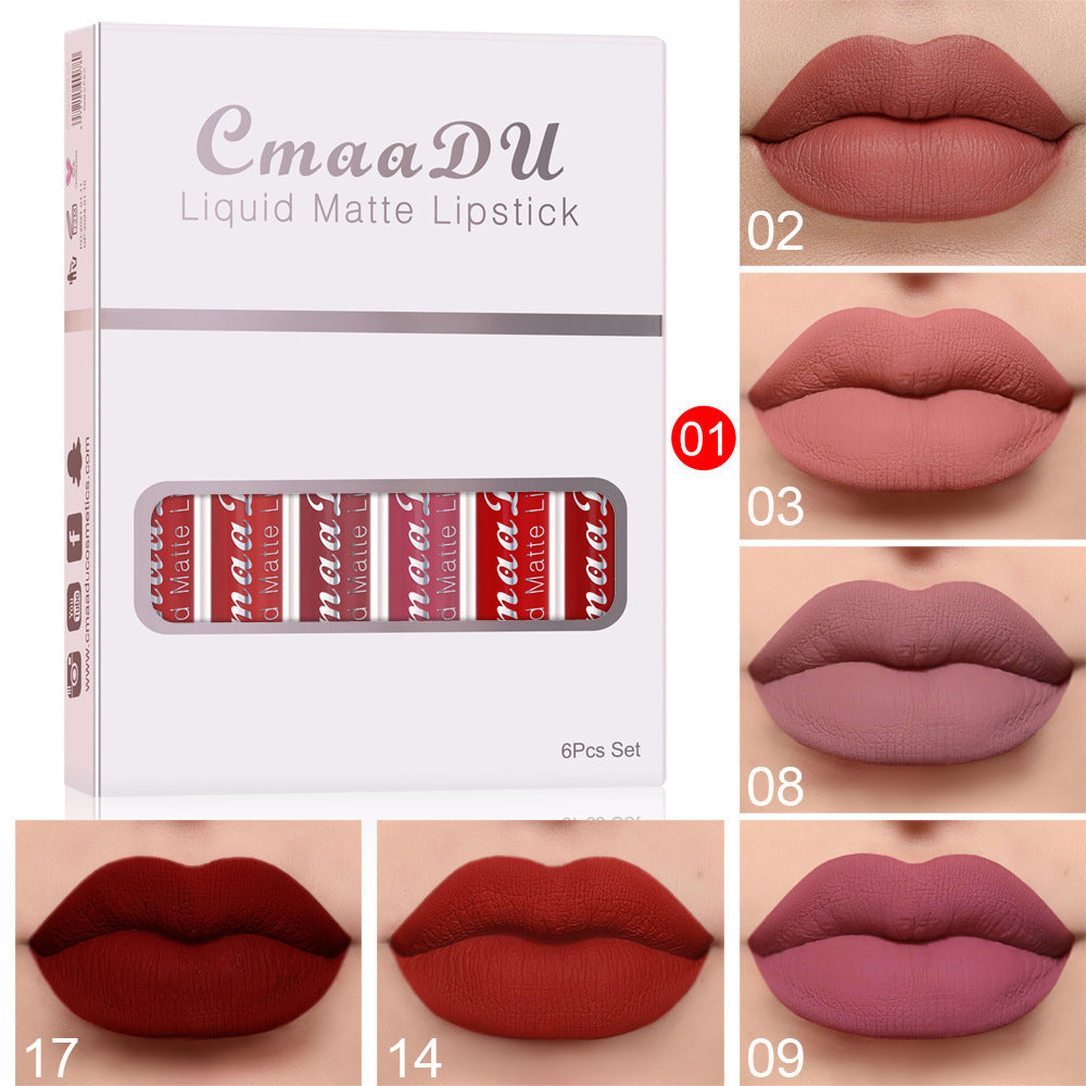 6 Boxes di rossetto opaco antiaderente impermeabile a lunga tenuta